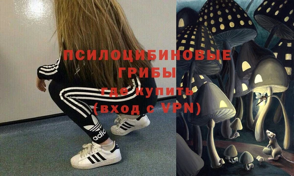 бошки Лиски