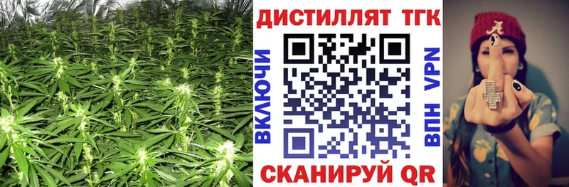 даркнет Telegram  Жигулёвск  ТГК Wax 