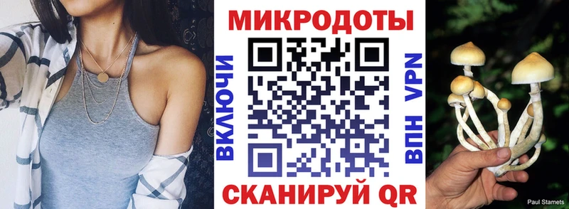 kraken tor  Жигулёвск  Галлюциногенные грибы Psilocybe 